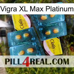 Vigra Xl Max Platinum cialis5